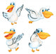 Pelican Series Wall Mural