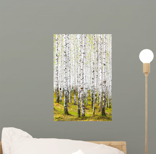 Spring Birch Forest Wall Decal