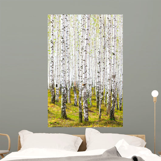 Spring Birch Forest Wall Decal