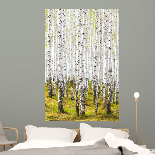 Spring Birch Forest Wall Decal