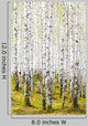 Spring Birch Forest Wall Decal