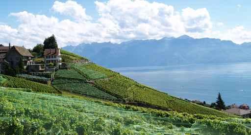 Vaudcarte Postale Wall Decal