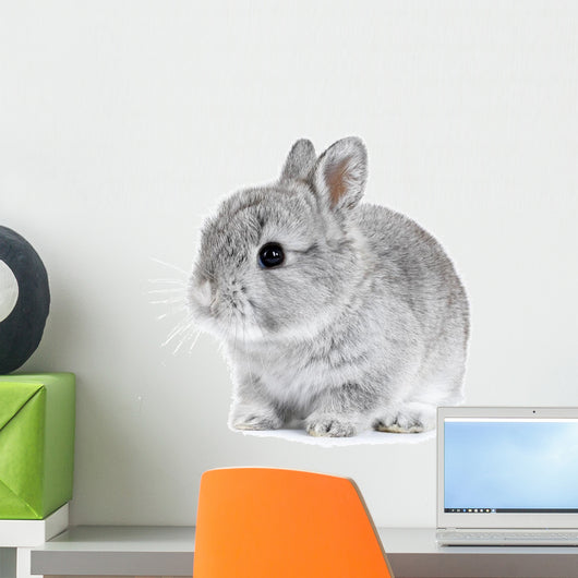 Gray Rabbit Bunny Baby Wall Decal