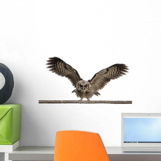 Portrait Brown Wood Owl Wall Decal
