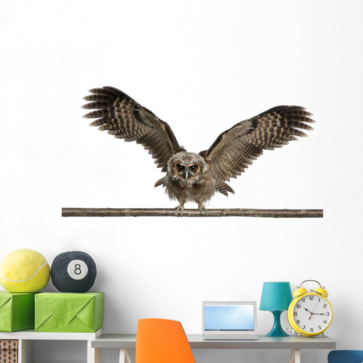 Portrait Brown Wood Owl Wall Decal