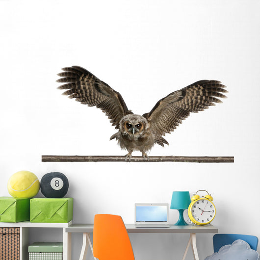 Portrait Brown Wood Owl Wall Decal