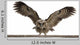 Portrait Brown Wood Owl Wall Decal