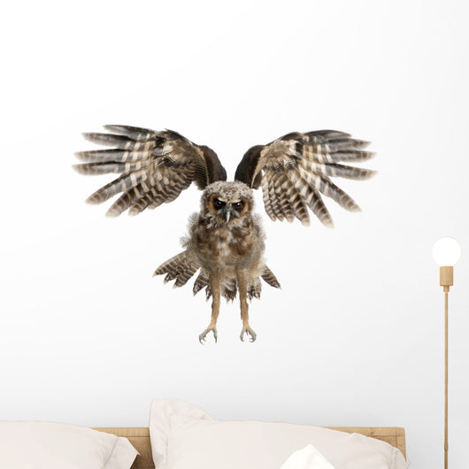 Landing Portrait Brown Wood Owl Wall Decal