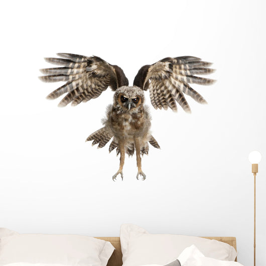 Landing Portrait Brown Wood Owl Wall Decal