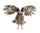 Landing Portrait Brown Wood Owl Wall Decal