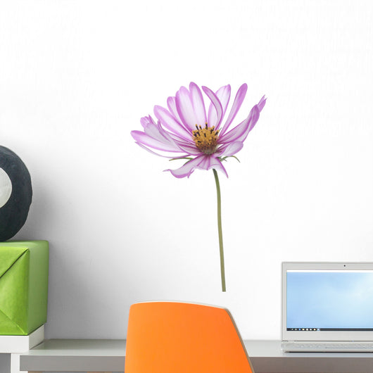 Cosmos Wall Decal