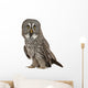 Portrait Great Grey Owl Wall Decal