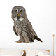 Portrait Great Grey Owl Wall Decal