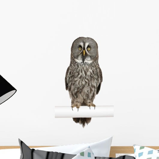 Portrait Great Grey Owl on a Perch Wall Decal