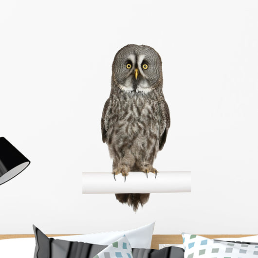 Portrait Great Grey Owl on a Perch Wall Decal