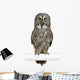 Portrait Great Grey Owl on a Perch Wall Decal