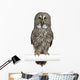 Portrait Great Grey Owl on a Perch Wall Decal