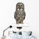 Portrait Great Grey Owl on a Perch Wall Decal