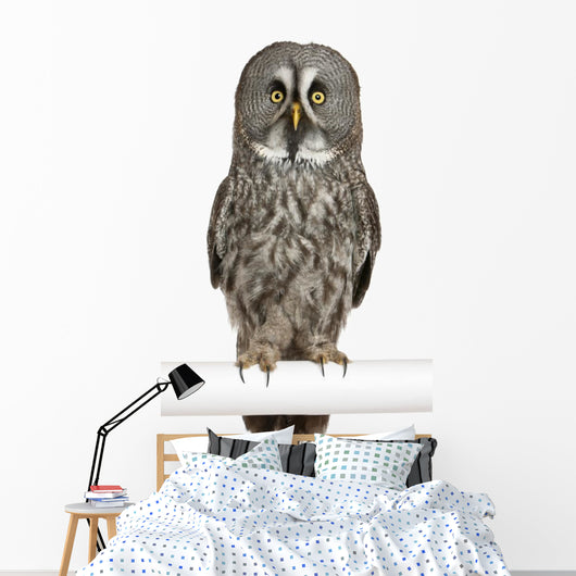 Portrait Great Grey Owl on a Perch Wall Decal