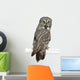 Portrait Great Grey Owl Looking Back Wall Decal