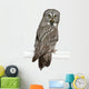 Portrait Great Grey Owl Looking Back Wall Decal