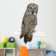 Portrait Great Grey Owl Looking Back Wall Decal