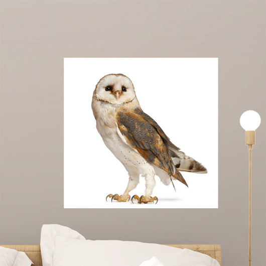 Barn Owl Wall Decal