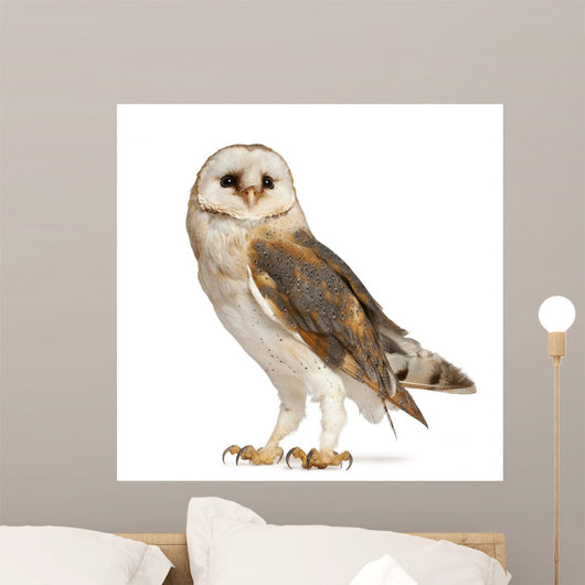 Barn Owl Wall Decal