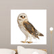 Barn Owl Wall Decal