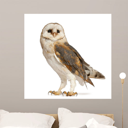 Barn Owl Wall Decal
