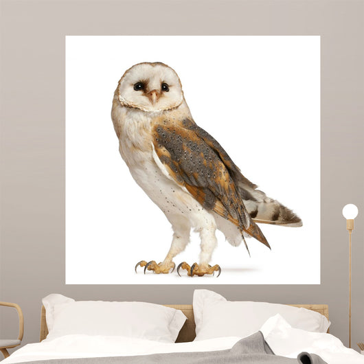 Barn Owl Wall Decal
