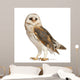 Barn Owl Wall Decal