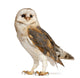 Barn Owl Wall Decal