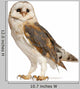 Barn Owl Wall Decal