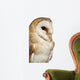 Up Barn Owl Tyto Wall Decal