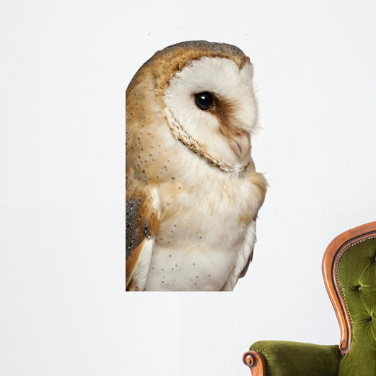 Up Barn Owl Tyto Wall Decal