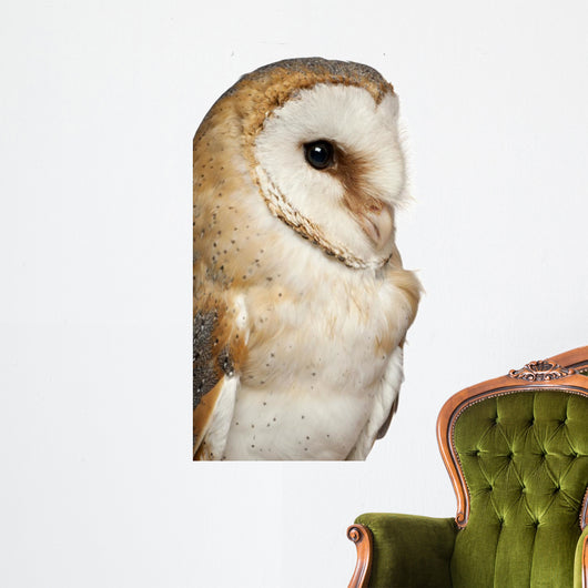 Up Barn Owl Tyto Wall Decal