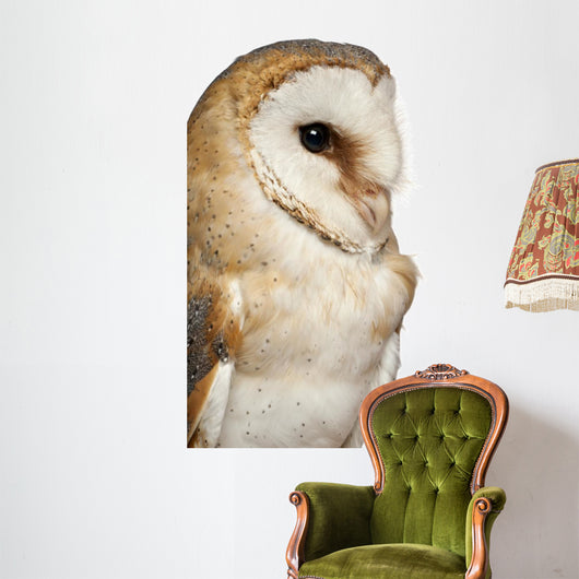 Up Barn Owl Tyto Wall Decal