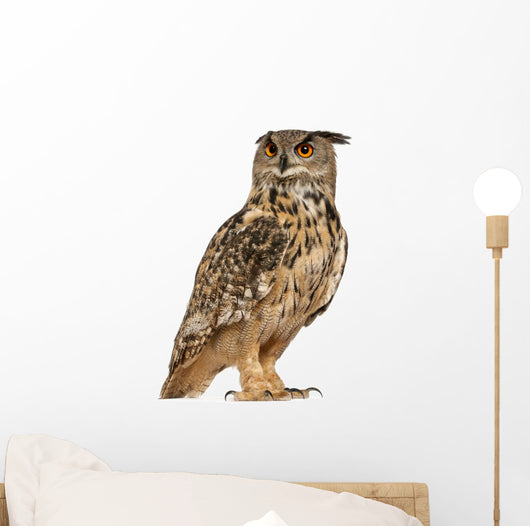 Eurasian Eagle-owl Standing Right Side Wall Decal