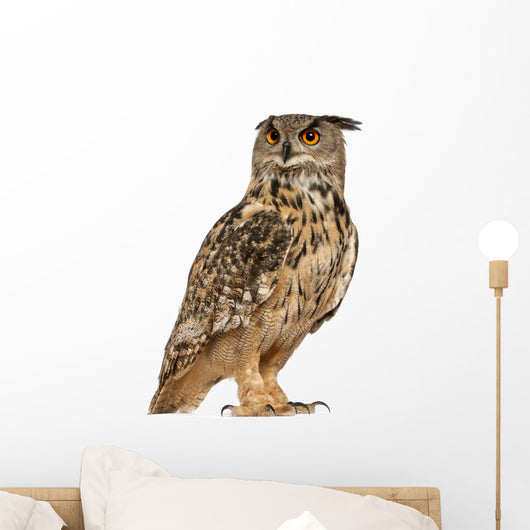 Eurasian Eagle-owl Standing Right Side Wall Decal