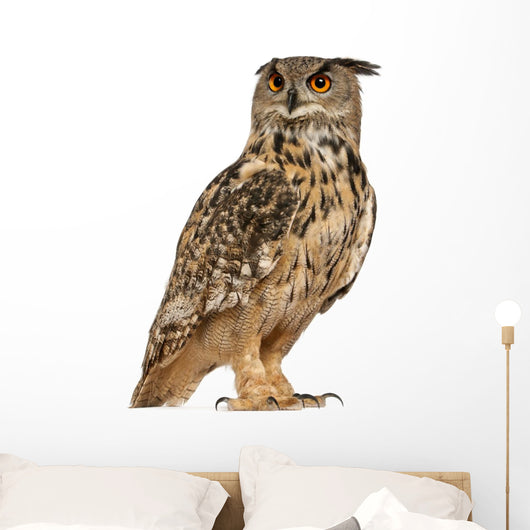 Eurasian Eagle-owl Standing Right Side Wall Decal