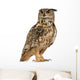 Eurasian Eagle-owl Standing Right Side Wall Decal