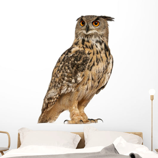 Eurasian Eagle-owl Standing Right Side Wall Decal