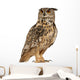 Eurasian Eagle-owl Standing Right Side Wall Decal