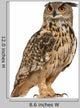 Eurasian Eagle-owl Standing Right Side Wall Decal