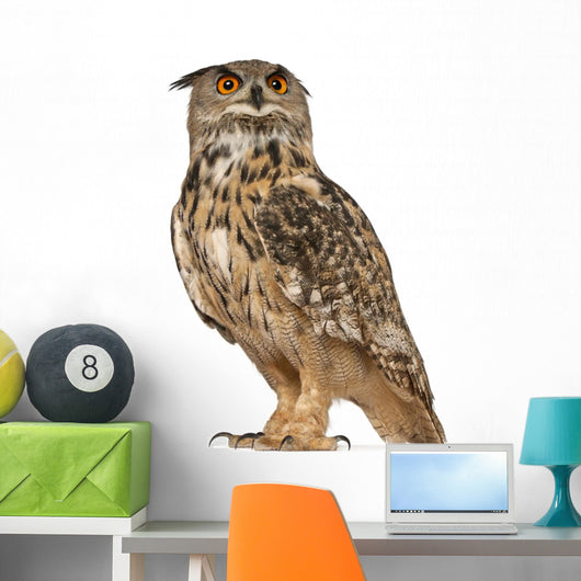 Eurasian Eagle-owl Standing Left Side Wall Decal