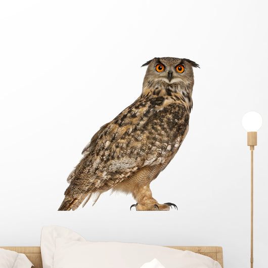 Portrait Eurasian Eagle-owl (Right Side) Wall Decal