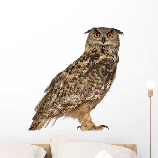 Portrait Eurasian Eagle-owl (Right Side) Wall Decal