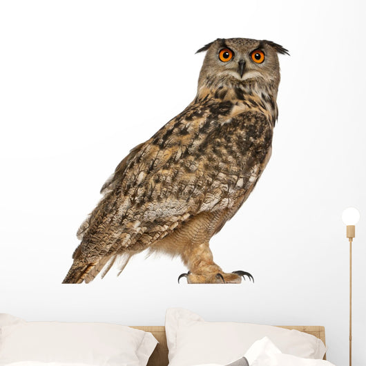 Portrait Eurasian Eagle-owl (Right Side) Wall Decal
