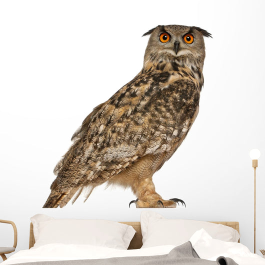 Portrait Eurasian Eagle-owl (Right Side) Wall Decal